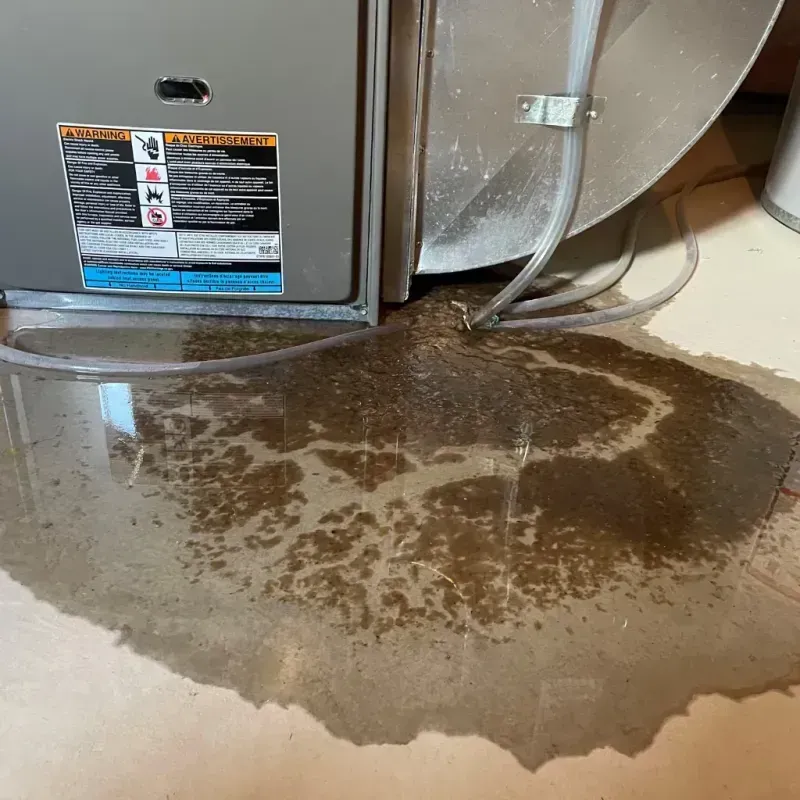 Appliance Leak Cleanup in Tyler County, TX